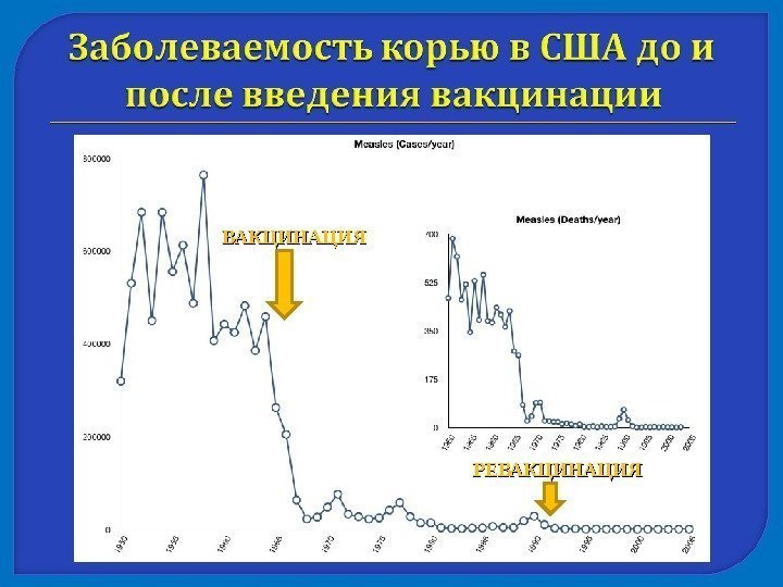 ВАКЦИНАЦИЯ РЕВАКЦИНАЦИЯ 